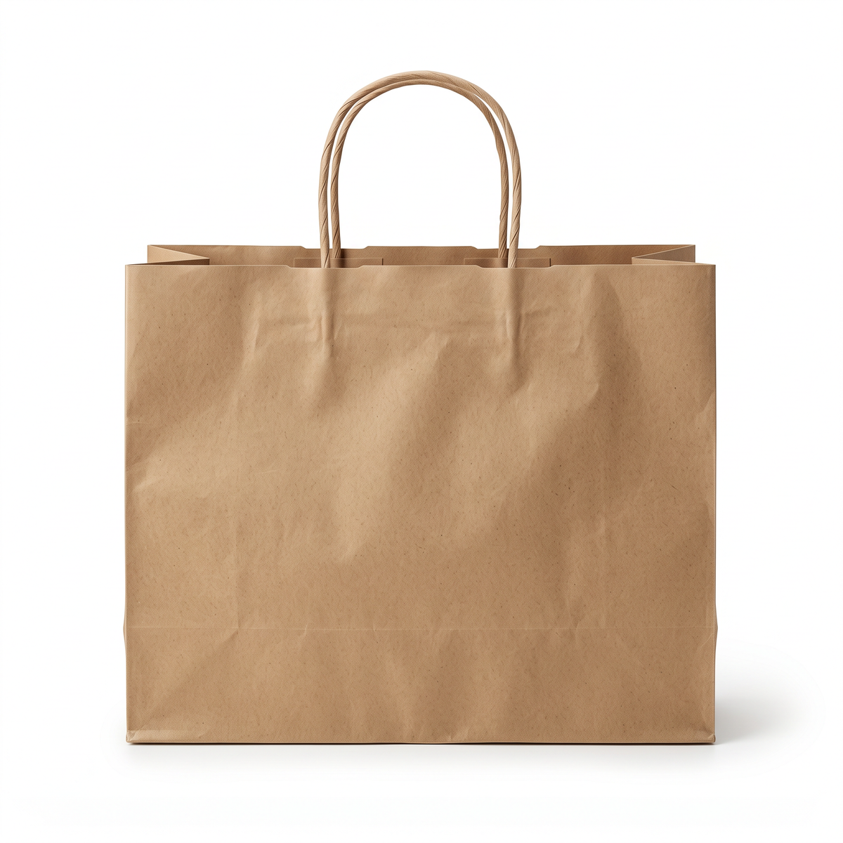 Brown Kraft Paper Carry Bags with Handle (Pack of 25)