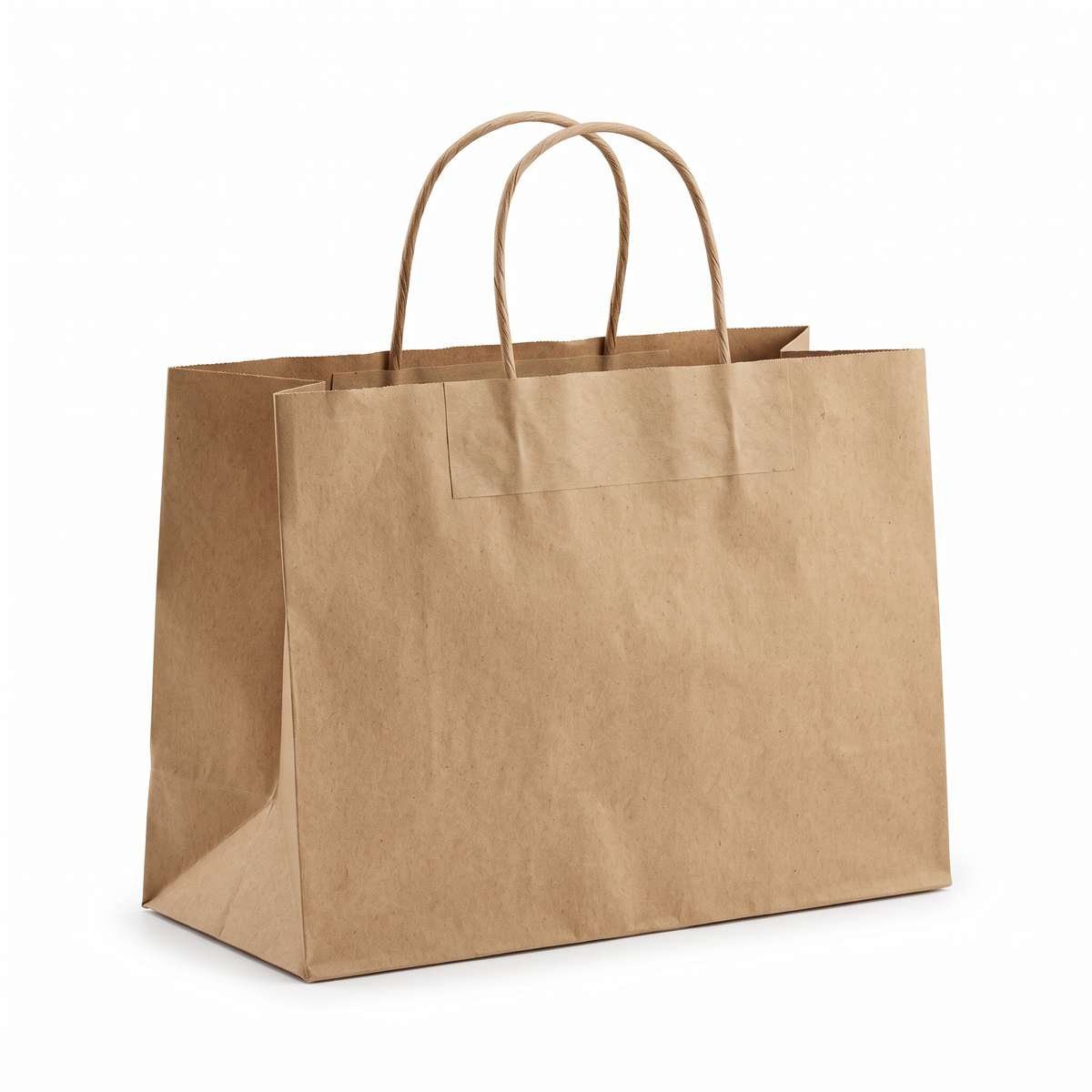 Brown Kraft Paper Carry Bags with Handle (Pack of 25)